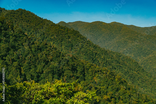 Natural landscapes in the Lost City in Tayrona National Park. Santa Marta Magdalena, Colombia.