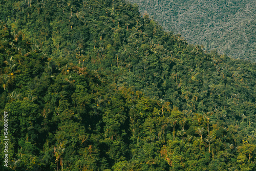 Natural landscapes in the Lost City in Tayrona National Park. Santa Marta Magdalena, Colombia.