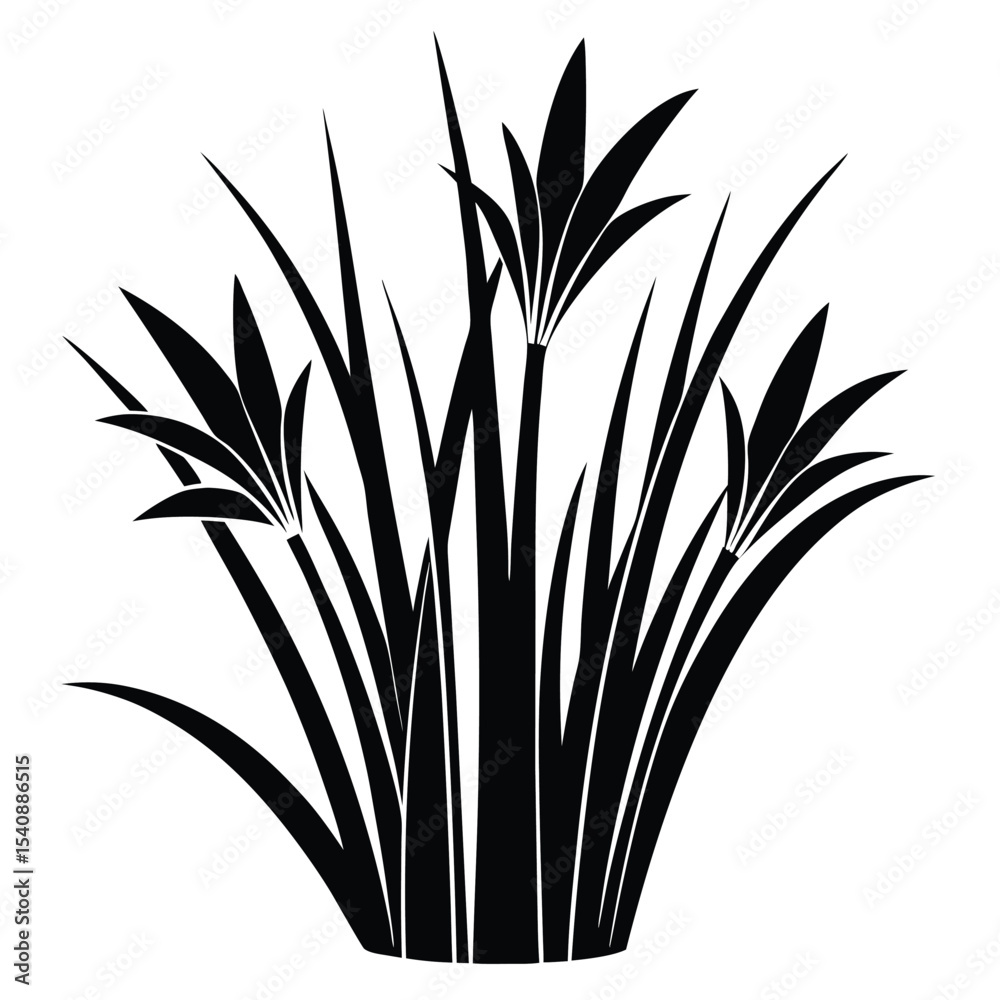 Fototapeta premium Bold Silhouette of Ornamental Grass Clump with Elongated Leaves and Stems