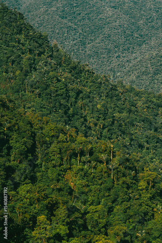Natural landscapes in the Lost City in Tayrona National Park. Santa Marta Magdalena, Colombia.