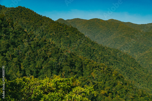 Natural landscapes in the Lost City in Tayrona National Park. Santa Marta Magdalena, Colombia.