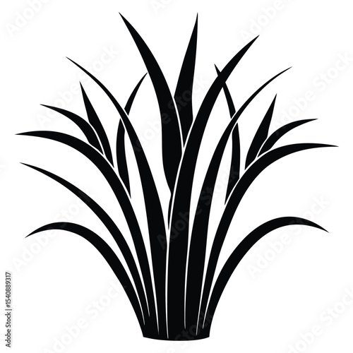 Stylized Black Grass Clump Illustration, Sharp Leaf Tips, Botanical Silhouette Design