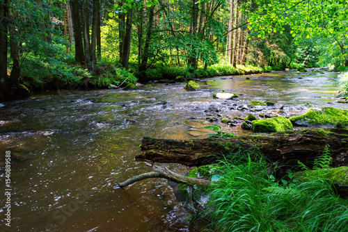 Hiking along the Mitternacher Ohe Stream in the bavarian Forests in Germany