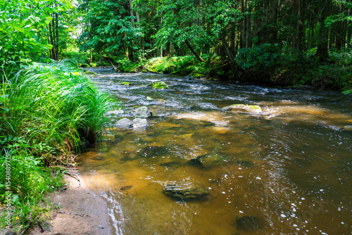 Hiking along the Mitternacher Ohe Stream in the bavarian Forests in Germany