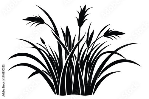 Silhouette Illustration of Ornamental Grasses with Seed Heads and Blades on Solid Background