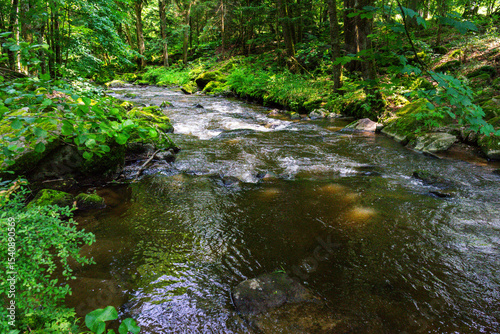 Hiking along the Mitternacher Ohe Stream in the bavarian Forests in Germany