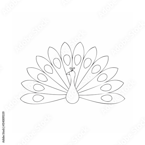 vector illustration of a peacock