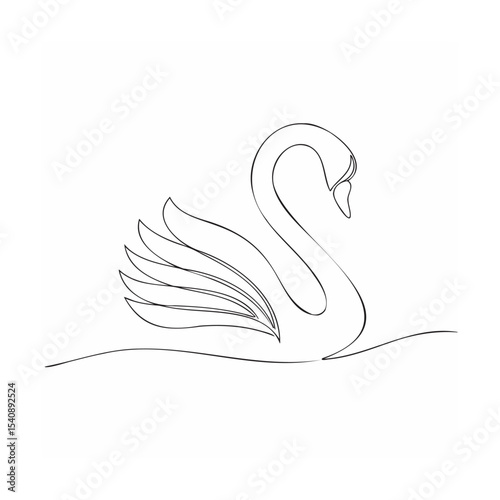 swan on the water