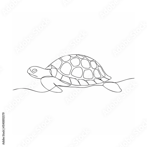 vector illustration of a turtle