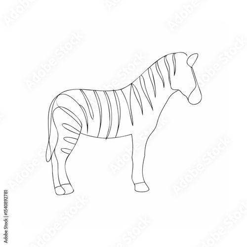 zebra vector illustration