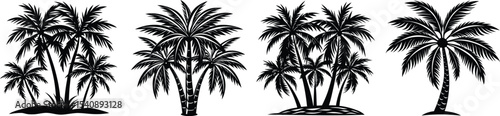 Palm trees set on a white backround .