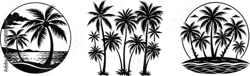 Palm trees set on a white backround .