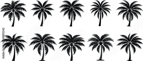 Palm trees set on a white backround .