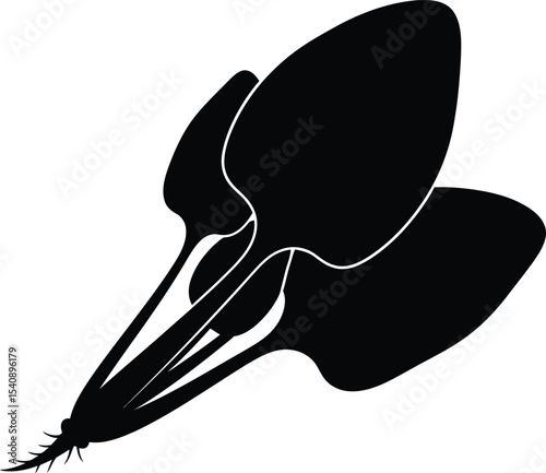 Elegant black and white illustration of a chard plant depicting the lush leaves and stem isolated on white background ideal for design and decoration