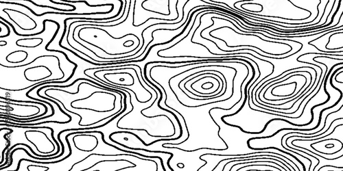 Abstract geographic topographic map style, elevation lines forming organic shapes, high contrast.
