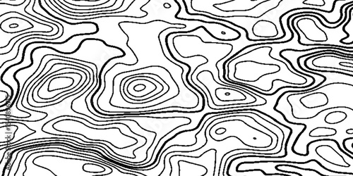 Abstract geographic topographic map style, elevation lines forming organic shapes, high contrast.