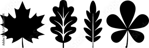 Maple Oak Elm Chestnut Leaf Silhouettes Natures
