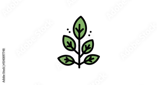 Illustration of a plant with green leaves and black outline on a white background in center view