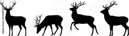 Deer Silhouette Set Stag Antlers Wildlife Natures