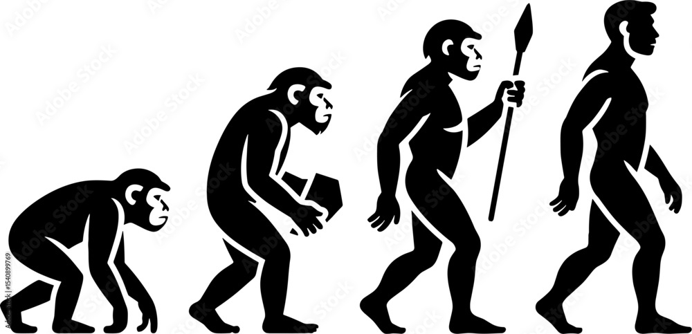 Fototapeta premium Human Evolution Timeline Ape To Early Man Walking Progression
