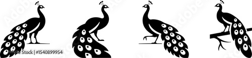 Black Silhouette Peacock Set Animal Birds