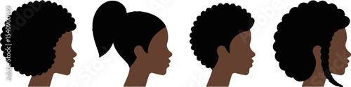African American Female Hair Styles Profile Set Natural Curly Ponytail Braids