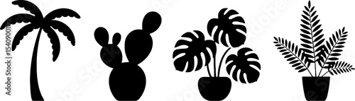 Tropical Palm Cactus Monstera Fern Houseplant Silhouettes