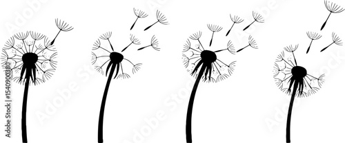 Dandelion Seeds Blowing Away Nature Symbol Minimalist Set