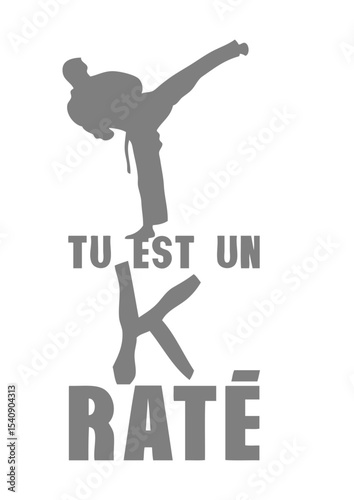 tu est un k rate karate humour citation
