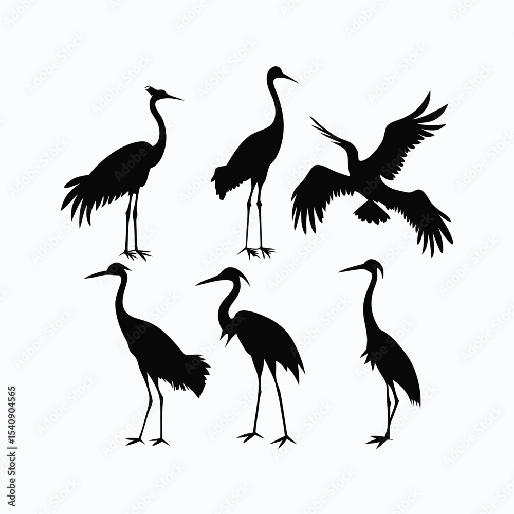 Obraz premium Adobe Illustrator Artwork