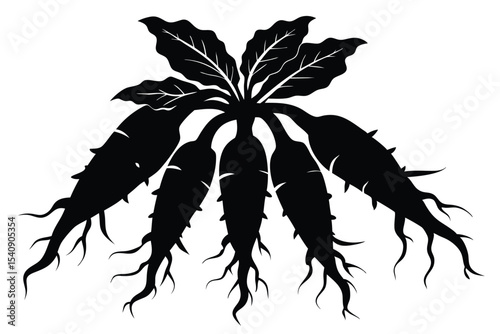 Graphic Black Silhouette of Root Vegetables with Leaves and Roots Illustration