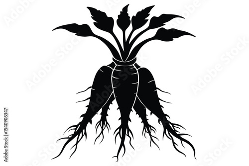 Black Silhouette of Root Vegetables with Leaves and Roots Isolated Illustration