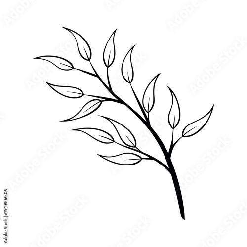 Minimal Willow Plant Branch Drawing Vector