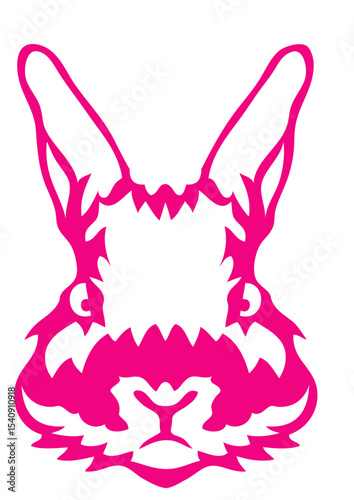 lapin animal