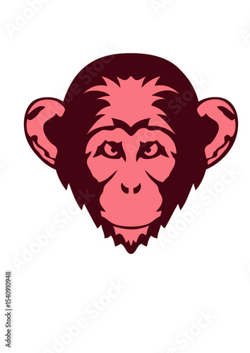 singe chimpanze
