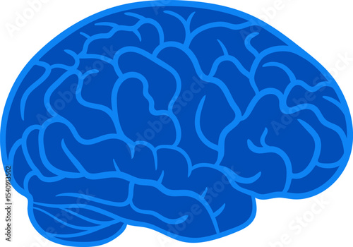 Blue flat vector illustration of human brain lateral view. Simple side view brain icon for medical, educational, and scientific use.