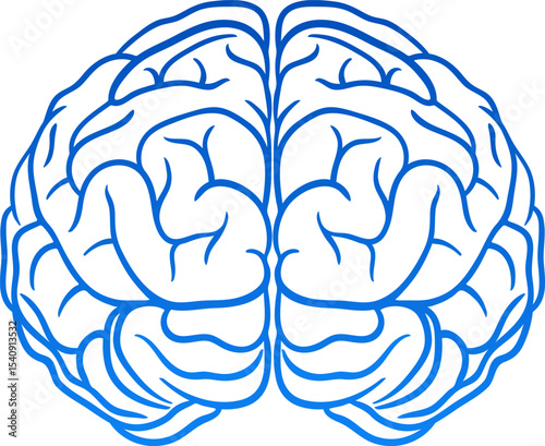 Human brain hempshires icon design. Soft blue gradient isolated brain clip art. Simple vector line art for Science Projects, Healthcare Infographics, and Academic use