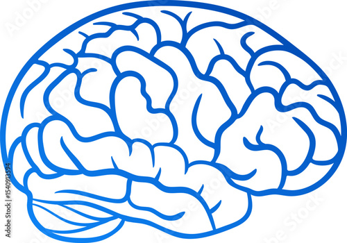 Human brain in lateral view. Blue gradient line simplified drawing of brain anatomy. Vector element for Science Projects, Healthcare Infographics and Academic Use
