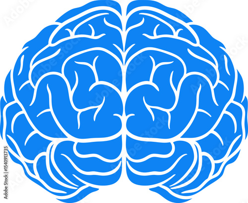Blue vector illustration of human brain hemispheres. Simple flat design for medical and educational use  minimal neuroscience graphic showing left and right brain.