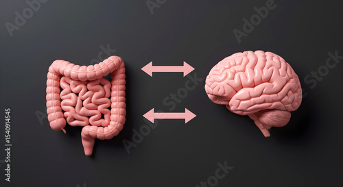 Brain and gut connected with arrows – symbolizing gut-brain axis and mental health link