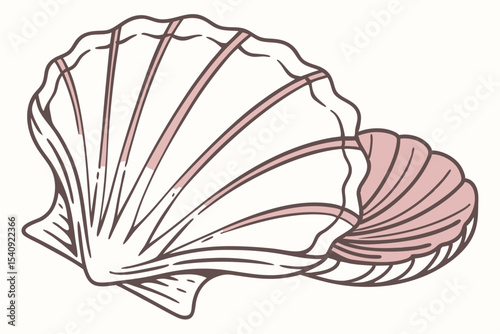 Two delicate, handdrawn seashell outlines illustrate coastal charm and seaside beauty beautifully