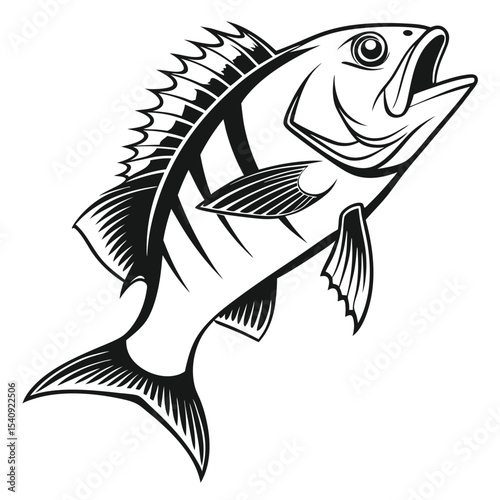 A black and white shows fish with open mouth in an upward position