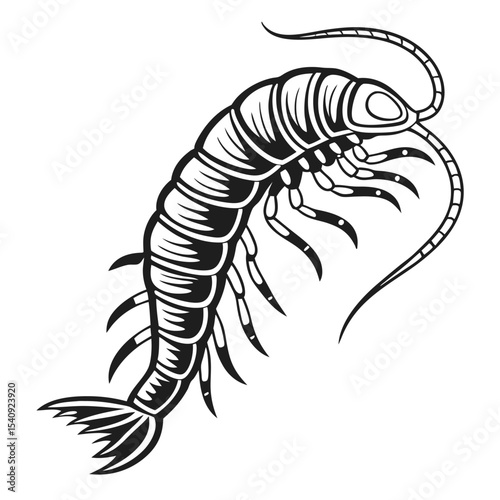 Stylized shrimp reveals intricate details through a monochromatic scheme and prominent segmentation