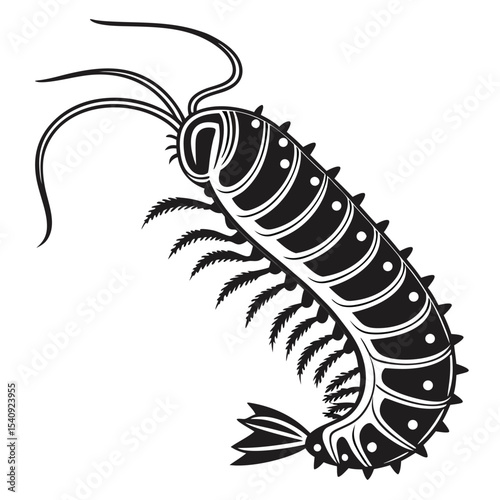 Bold black invertebrate with multiple segments and antennae gracefully arches on a white canvas