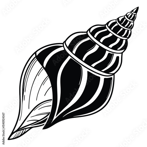 Detailed black seashell showcases spiral patterns and organic form in an eyecatching way