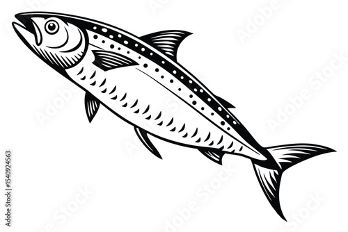 Monochrome mackerel shows black detail along its body in a striking form