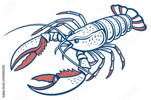 Red and blue detailed line art lobster illustration is shown on white