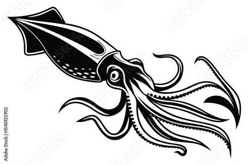 Striking monochrome squid floats gracefully displaying its tentacles and fins in classic style