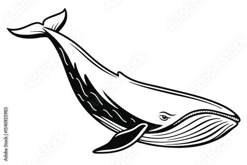 illustration depicts a stylized whale in black and white on a white backdrop