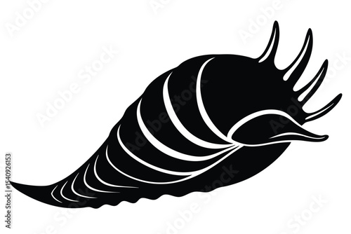A spiky black murex sea shell shows elegant details with white curved patterns today